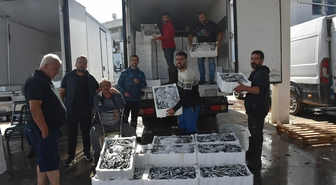 İzmir'de balık fiyatları düştü; palamut halde 60, tezgahta 100 TL