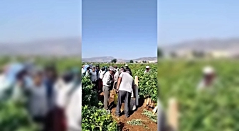 Kilis’te yaş üzüm fiyatına ilginç protesto: Bağlarda sela okuyup dua ettiler