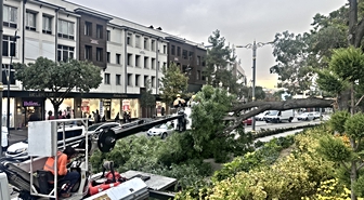 Konya'da tramvay yoluna devrilen ağacın altında kalan çocuk yaralandı