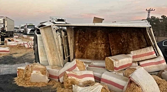 Mardin’de saman yüklü kamyonet devrildi: 1 yaralı