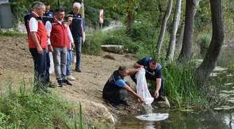 Ordu'daki göl, gölet ve barajlara 80 bin yavru sazan bırakıldı