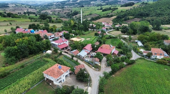 Samsun'da sonbahar dönemi şap ve brusella aşılama çalışması yürütülüyor