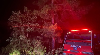 Saraydüzü'nde ormanlık alanda çıkan yangın söndürüldü