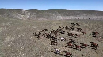 Akdağ’ın yılkı atları dronla görüntülendi