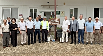 Antalya'da zeytin hasadı başladı
