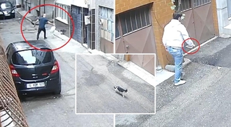 Kedilerin mamalarını çöpe attılar! Baba ile oğlunun vicdanları yaralayan hareketi kamerada
