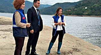 Hasan Uğurlu Baraj Gölü’ne 250 bin yavru sazan bırakıldı