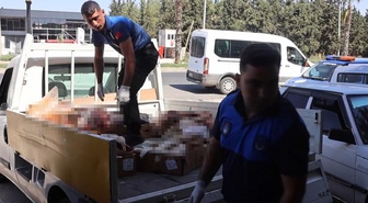 Kasapta yüzlerce kilo bozuk et ele geçirildi! Vatandaşı alenen zehirleyeceklerdi