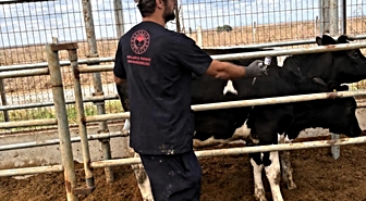 Kırklareli'nden kısa kısa