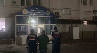 Kuyucak’ta ormanlık alanda kenevir yetiştiren şüpheli suçüstü yakalandı