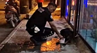 Silahla vurularak yaralanan sokak köpeğine polis ekipleri sahip çıktı