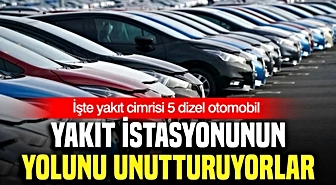 Yakıt Tüketimi Otomobil Alımında Belirleyici Oldu