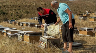 Aydıntepe’de 2026 yılı arılı kovan tespitleri başladı
