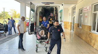 Ayı saldırısına uğrayan çoban yaralandı
