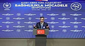 Cumhurbaşkanı Yardımcısı Yılmaz: Kurumsal tecrübemizi KKTC ile paylaşmaya devam edeceğiz