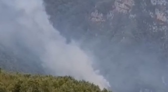 Hatay'da orman yangını