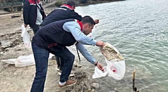 Havza’da göletlere 110 bin yavru sazan bırakıldı