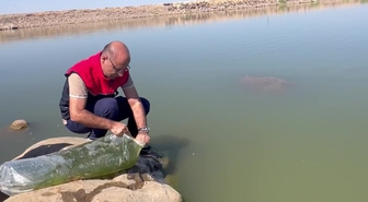 İdil’de Dirsekli göletine 100 bin yavru sazan bırakıldı