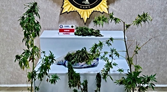 Kars’ta uyuşturucu operasyonu: Evden 272 gram esrar ve 6 kök Hint keneviri çıktı