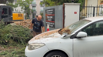 Maltepe'de kesilen ağacın iki aracın üzerine devrilmesi kamerada