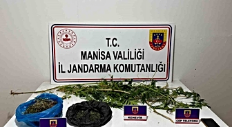 Manisa Sarıgöl'de operasyonda 352 gram esrar ele geçirildi, şüpheli tutuklandı