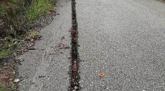Zonguldak Alaplı'da fiber kazısı kapatılmadı iddiasıyla köylü yetkililere çağrı yaptı