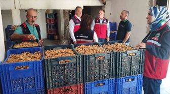 Aydın Valiliği kuru incirde mikotoksin denetimini 17 ilçede sürdürüyor