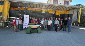 Balıkesir Burhaniye'de 300 bin 300 marul fidesi üreticilere yüzde 75 hibeyle verildi