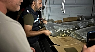 Bitlis'te su kaynakları 1 milyon 397 bin 500 yavru sazanla buluştu