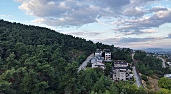 Bursa Nilüfer Çalı Mahallesi'nde 3 ayı görüldü, muhtar sakinleri uyardı