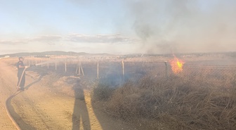 Edirne Keşan'da lavanta tarlasındaki yangında 12 dönüm zarar gördü