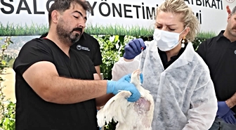Elazığ'da kuş gribi tatbikatının 4. gününde Küllük köyünde saha uygulaması yapıldı