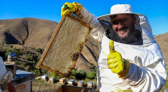 Gümüşhane'de bal sezonu kapandı, rekolte yüzde 40-50 geriledi