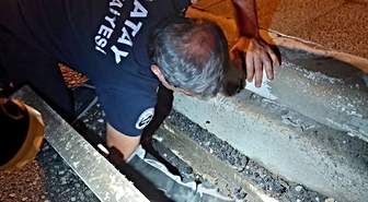 İtfaiye ekipleri Hatay İskenderun'da mahsur kalan hayvanları güvenle kurtardı