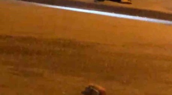 Karabük'te iki grup cadde ortasında sopalarla kavga etti, 1 kişi yaralandı