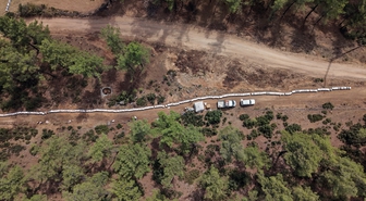 Muğla'da çam balı hasadı başladı, arıcıların yüzü gülüyor