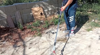 Samandağ'da yerleşim yerinde görülen yılan zarar verilmeden doğaya bırakıldı
