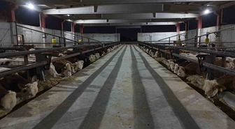 Şanlıurfa'daki Besi OSB, 120 bin büyükbaş kapasitesiyle et merkezi olmayı hedefliyor