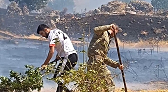 Sason'da elektrik tellerinden çıktığı öne sürülen kıvılcımlarla 10 arı kovanı yandı