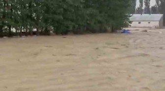 Sivas Güney Köyü'nde sağanak sonrası sel, tarım arazilerine büyük zarar verdi