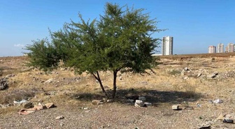 Adana'da boş arazide hareketsiz yatan 35 yaşındaki şahıs ölü bulundu