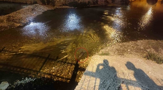 Konya Bozkır'da Çarşamba Çayı'nda su samuru ailesi görüntülendi