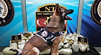 JPO'nun hassas burnu zehir tacirlerini ele verdi! Koyun yünü de işe yaramadı