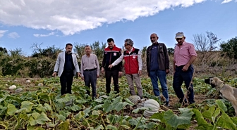Tekirdağ İl Tarım ve Orman Müdürü Aksoy, bal kabağı üreticisini ziyaret etti
