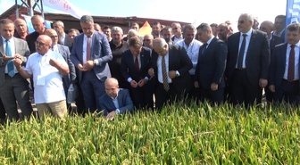 Bafra'da 400 bin liralık bağışla Osman Akbaş Türkiye'nin ilk çeltik ağası oldu