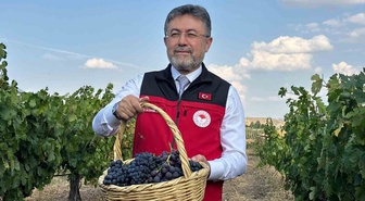 Bakan Yumaklı, bu yıl üzüm üretiminin 3 milyon 850 bin tona ulaşacağını açıkladı
