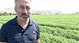 Beypazarı Ziraat Odası Başkanı, 612 bin 578 dekar alanda üretim yapıldığını bildirdi.