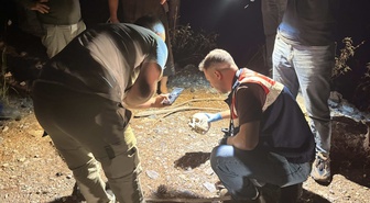 Antalya'da ormanlık alanda kafatası bulundu! Çobanın ihbarı sonrası adli tahkikat başlatıldı