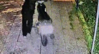 Hatay Reyhanlı'da ev avlusundan motosiklet çalan 2 maskeli şüpheli aranıyor