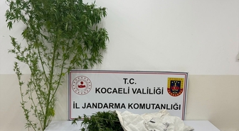 Kocaeli Kartepe'de 3 kilo 750 gram esrar ele geçirildi, 1 şüpheli tutuklandı